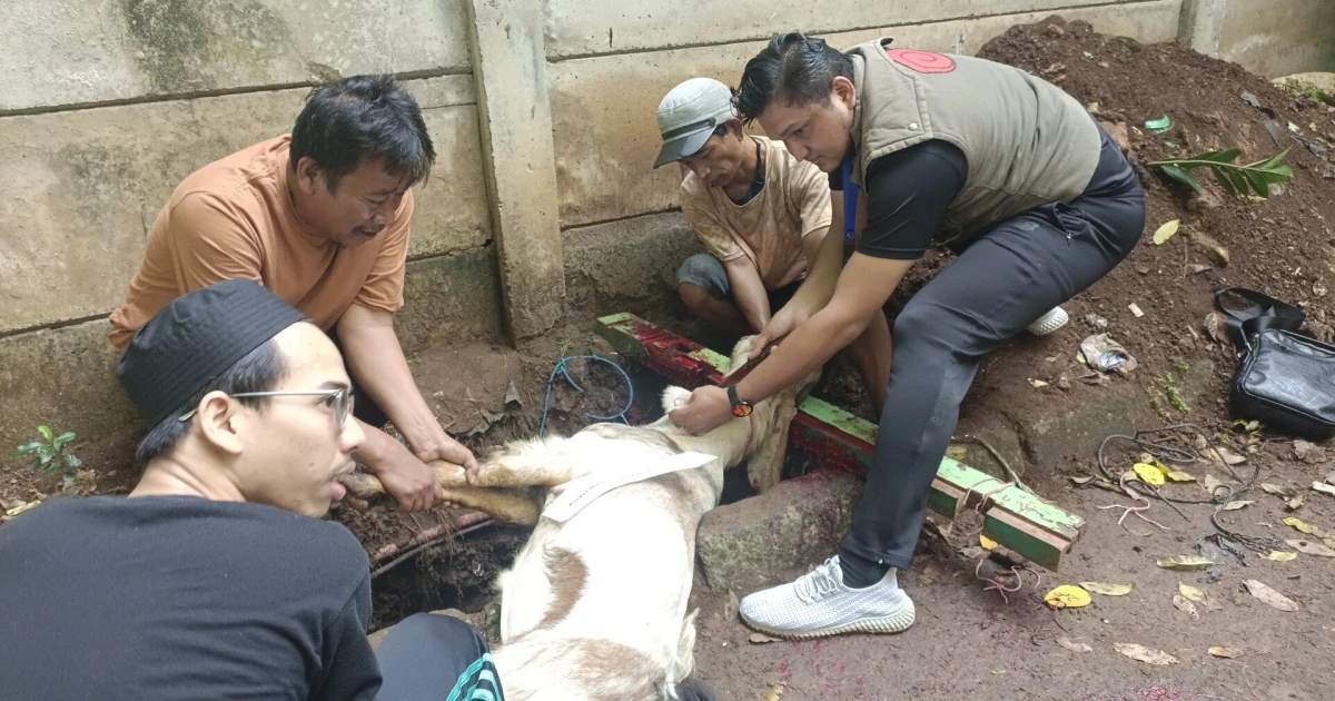 News And Event The Spirit of Qurban at Lemtek UI on Eid al-Adha 1446 H 1 ~blog/2025/6/17/proses_qurban_oleh_karyawan_lemtek