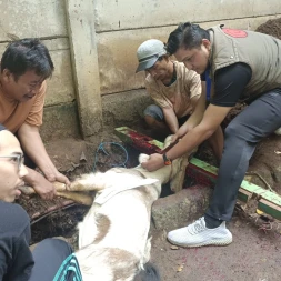Semangat Qurban Lemtek UI di Idul Adha 1446 H