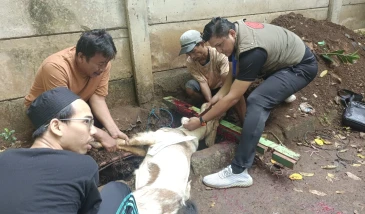 Semangat Qurban Lemtek UI di Idul Adha 1446 H